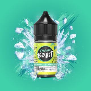 Extreme Mint Salts by Flavour Beast