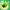 Envi Drip'n EVO 63K Disposable - Green Apple