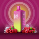 Drip'n EVO By Envi 28K Puff - 16 Flavours - Provincial Tax