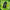 Flavour Beast Beast Mode Max 3 60K Disposable - Wild White Grape