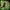 Flavour Beast Beast Mode Max 3 60K Disposable - Unleashed Series - Epic Watermelon Kiwi