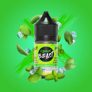 Super Spearmint Iced Salts by Flavour Beast
