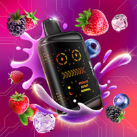 Kraze MEGA X 48k Disposable -  Quad Berry Ice