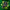 Kraze LUNA 42K Disposable -  Emerald Green Grape