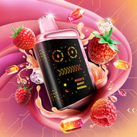 Kraze MEGA X 48k Disposable - Norwegian Berry G Ice