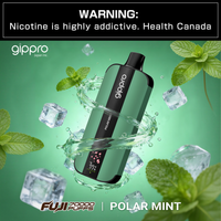 Gippro Fugi 70k Puff