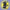 Flavour Beast Blazin' Banana Blackberry Iced (STLTH Compatible) - Twisted Sisters Vape Shop