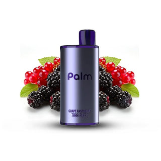Buy grape-raspberry Pop Hit Palm 7000 Puff Disposable - 15 Flavours