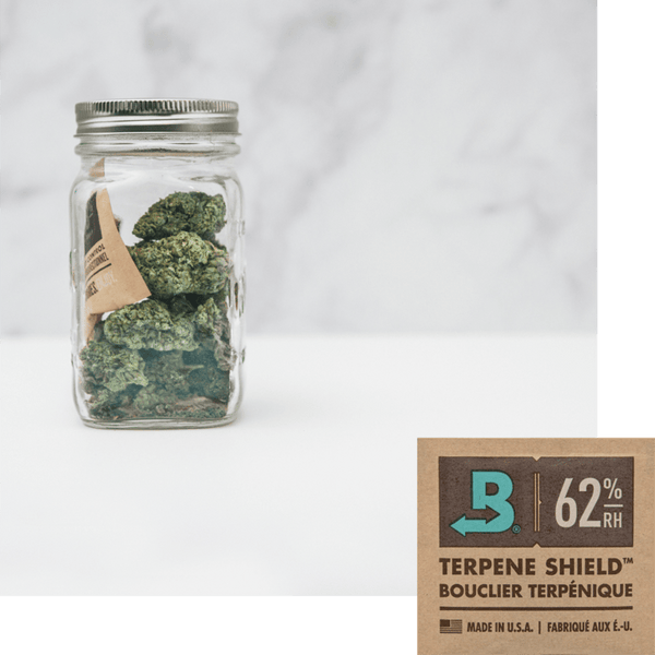 Boveda Size M (8) 2-Way Humidity Control - Twisted Sisters Vape Shop